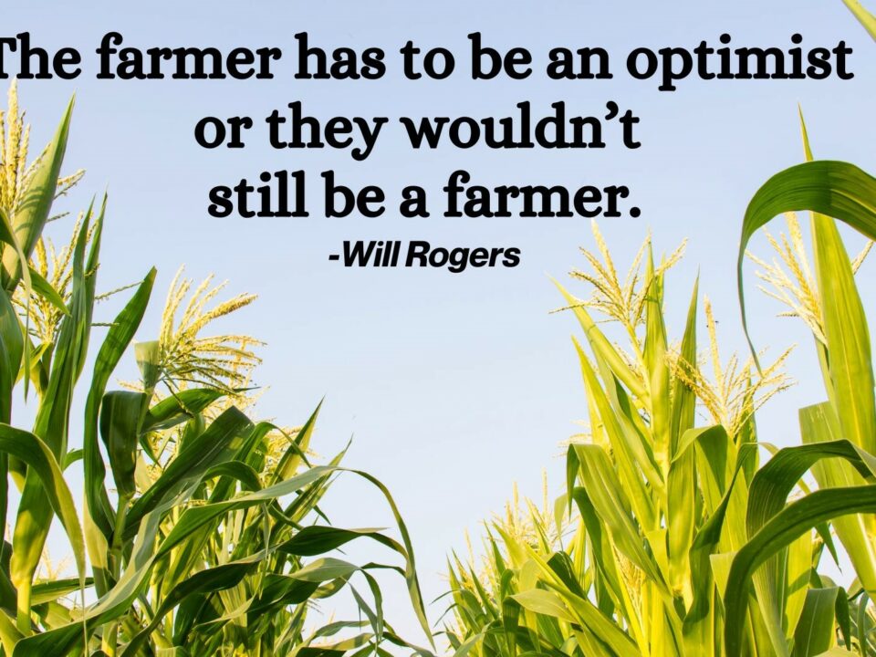 Think Like a Farmer