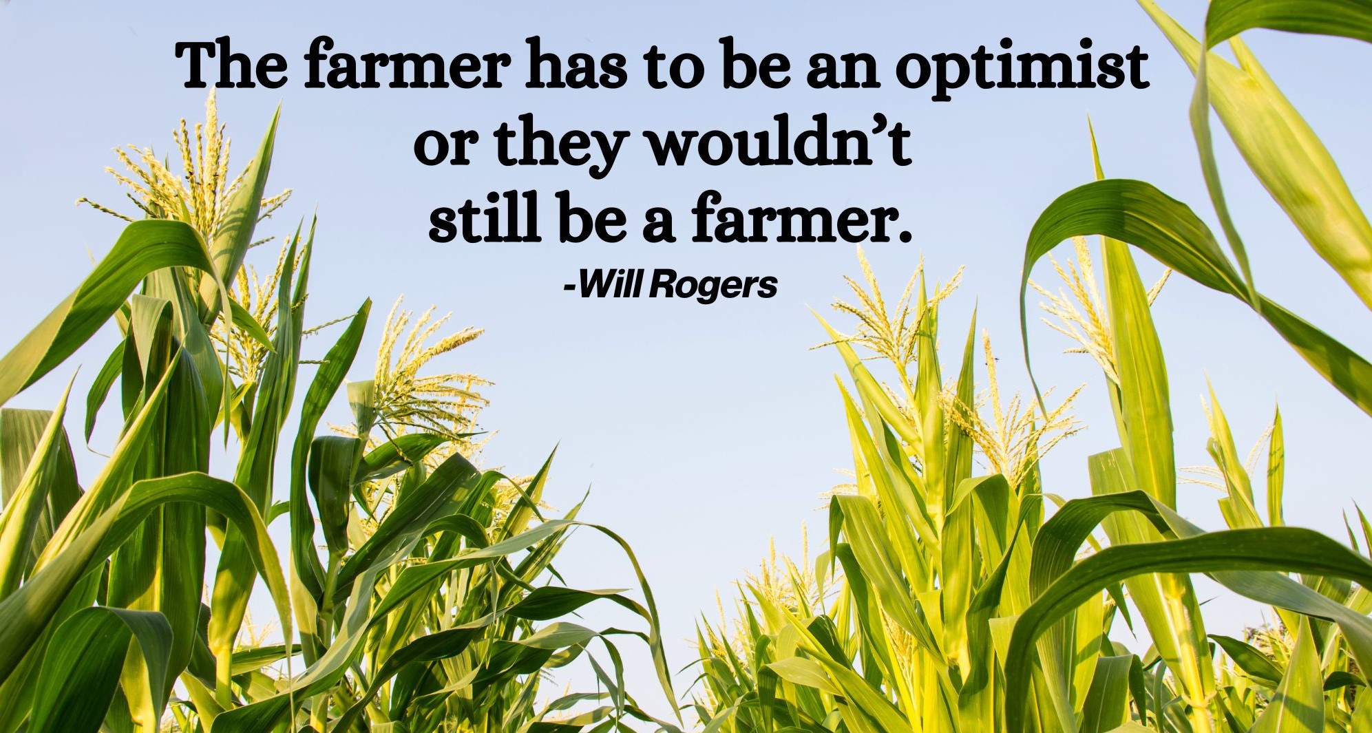 Think Like a Farmer